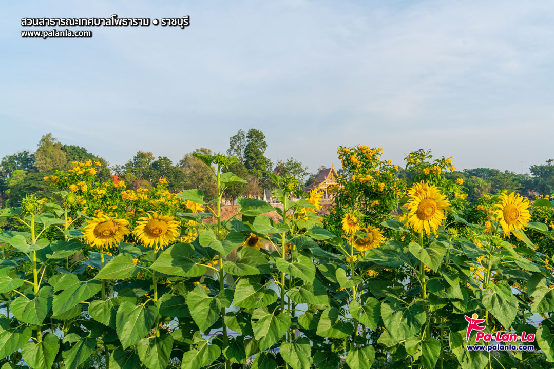 Muang Photharam Municipal Public Park